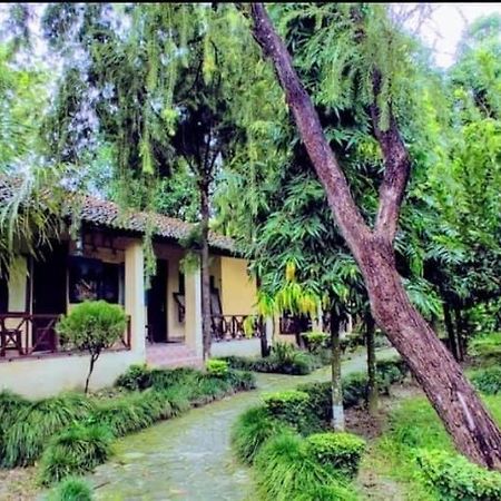 Rhino Lodge Bardia Pvt Ltd Bardiya Zewnętrze zdjęcie