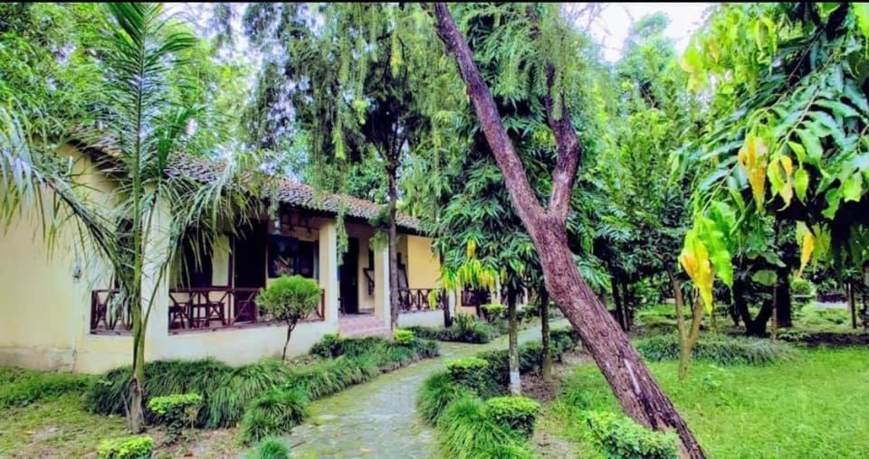 Rhino Lodge Bardia Pvt Ltd Bardiya Zewnętrze zdjęcie