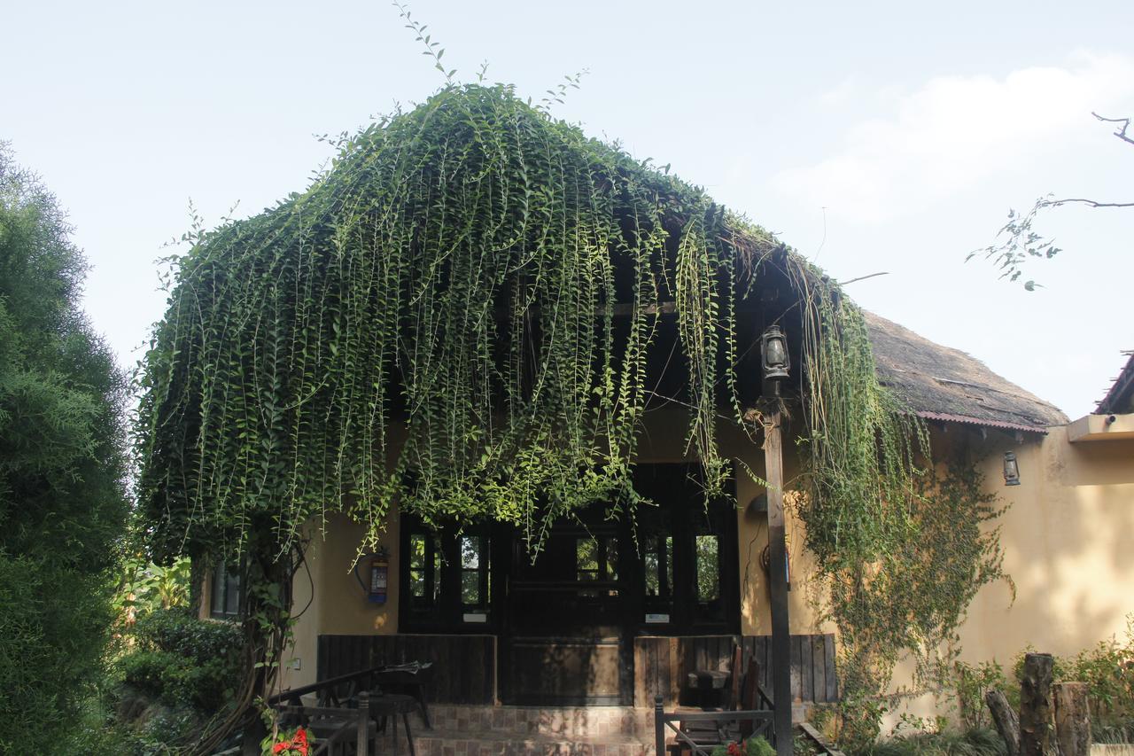 Rhino Lodge Bardia Pvt Ltd Bardiya Zewnętrze zdjęcie