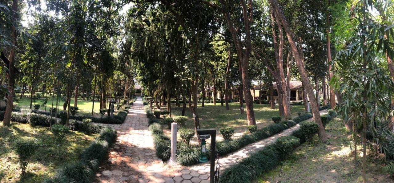 Rhino Lodge Bardia Pvt Ltd Bardiya Zewnętrze zdjęcie