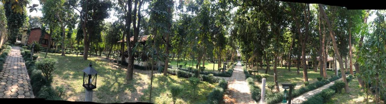 Rhino Lodge Bardia Pvt Ltd Bardiya Zewnętrze zdjęcie